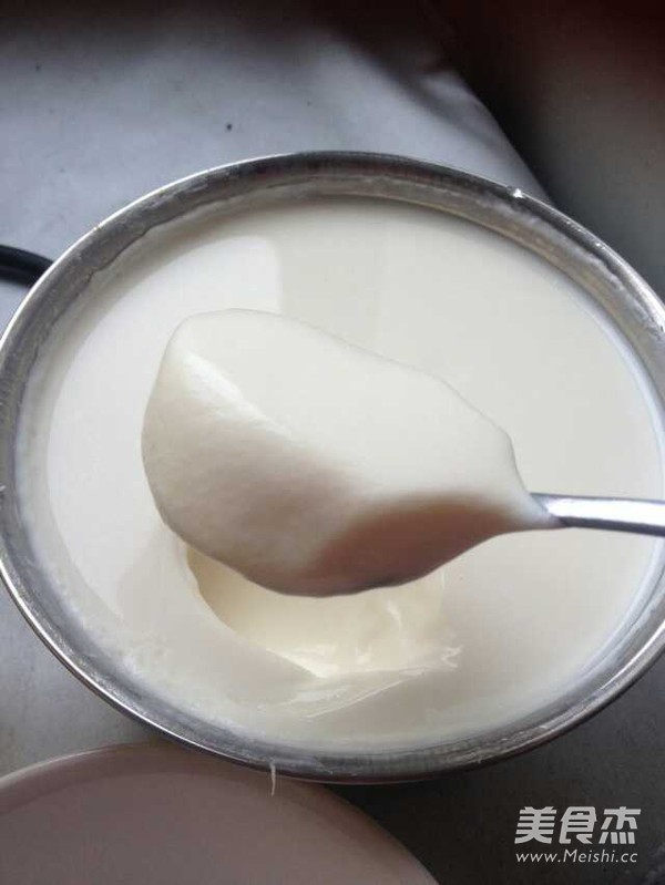 Homemade Yogurt recipe