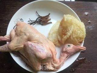 Suckling Pigeon Stewed with Cordyceps recipe