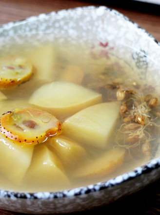 Apple and Hawthorn Malt Water, Moisturizing, Refreshing and Helping Digestion! --wei Chu recipe