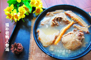 Nourishing Old Duck Ginseng Soup recipe