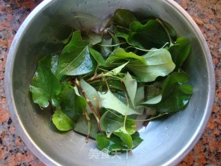 Treating Wind-heat and Cold-houttuynia Cordata Tea recipe