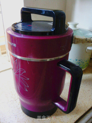 Pure Mung Soy Milk recipe