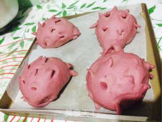 #aca Fourth Session Baking Contest# Making Pornographic Bread with True and False Dragon Fruit recipe