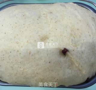 Whole Wheat Bread recipe