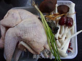 Add Warmth in Winter---------------fresh Mushroom Chicken Pot recipe