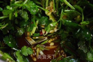 Coriander recipe