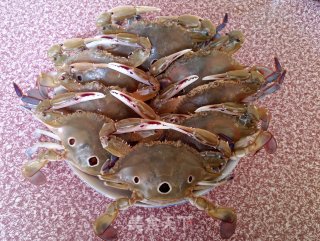 Braised Three-eyed Crab in Oil recipe