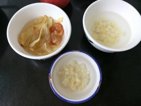 Chuanbei Almond Lung Lotion Syrup recipe