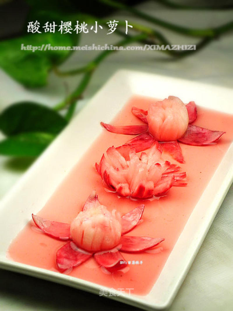 Refreshing Appetizing Sweet and Sour Cherry Radish recipe
