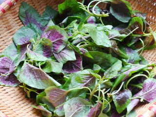 Stir-fried Red Amaranth recipe