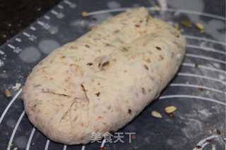 Dutch Multigrain Bread recipe