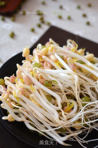 Homemade Mung Bean Sprouts recipe