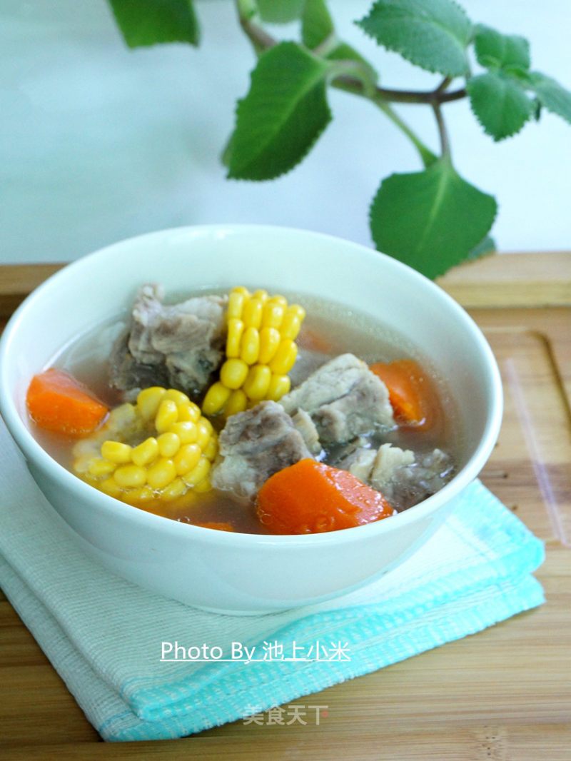 Pastoral Pork Ribs Soup recipe