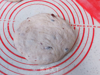 Rich and Rich Taste~【whole Wheat Cranberry Cheese Soft European】 recipe