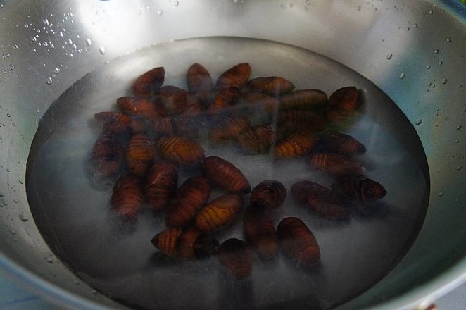 Stir-fried Silkworm Pupa with Green Onion and Ginger recipe