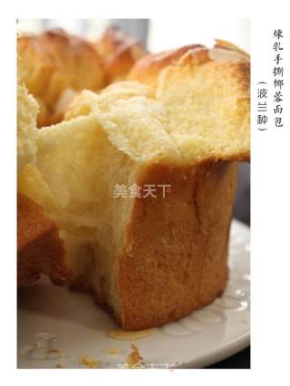 Condensed Milk Shredded Coconut Bag (polish Species) recipe