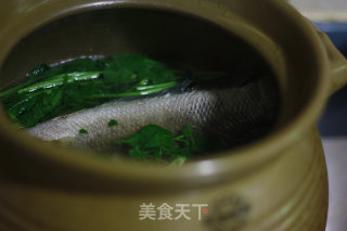 Watercress Chen Kidney Raw Fish Soup recipe