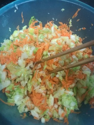 Carrots, Cabbage and Vegetable Buns (one-time Fermentation, with Video) recipe