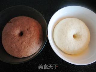 Cocoa Rolls recipe