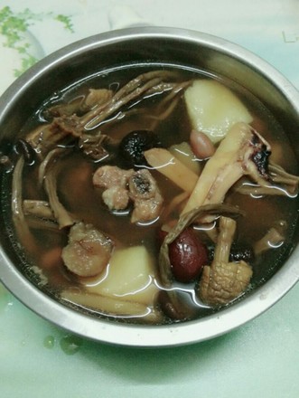 Agaricus, Tea Tree Mushroom, Cuttlefish Spare Rib Soup