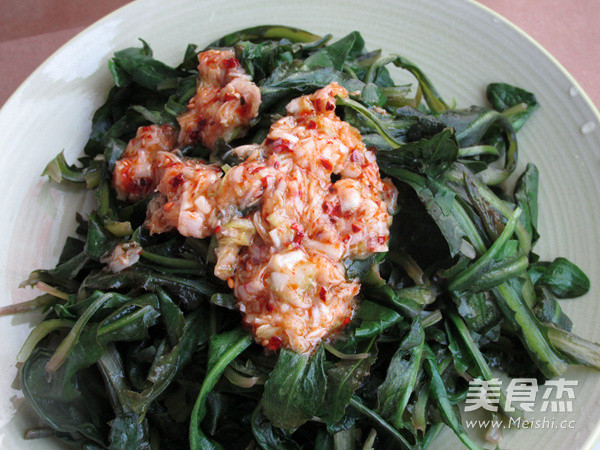 Dandelion Salad recipe