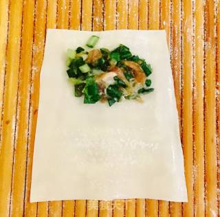 Pippi Shrimp and Fresh Meat Wonton recipe