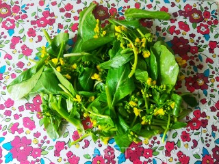 Flower Bud Art Salad recipe