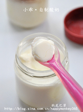 Homemade Yogurt recipe