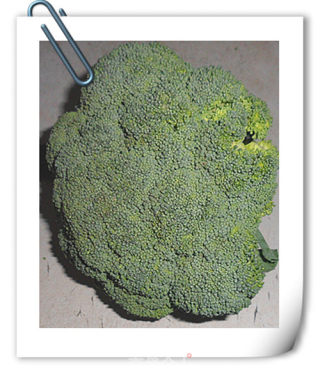 Stir Fried Broccoli recipe