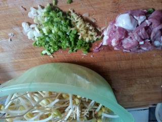 Fried Noodles with Bean Sprouts recipe