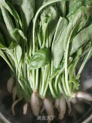 Spicy Radish Seedlings recipe