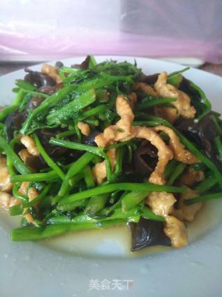 Wild Celery Stir-fry recipe