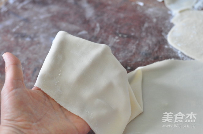 Large Wontons with Crispy Bottom and Thin Skin recipe