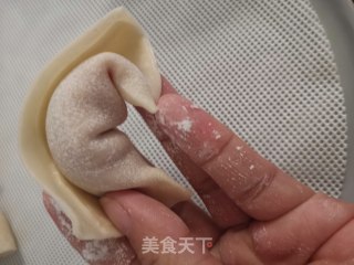 Shrimp Wonton recipe