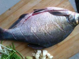 Braised Bream recipe