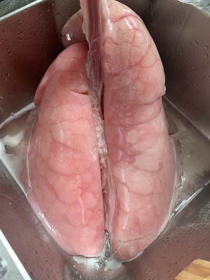 Clean Pig Lungs recipe