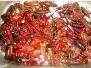 Spicy Crayfish (detailed Diagram of The Best Processing Method for Crayfish) recipe