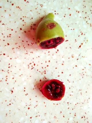 Cactus Fruit Jelly recipe
