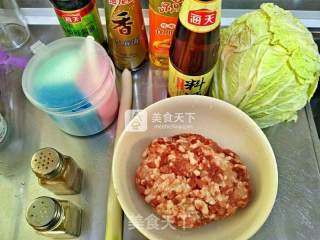 Cabbage Pork Minced Pot Stickers recipe