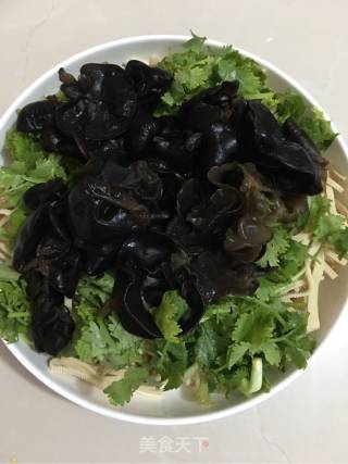 Coriander Fungus Mixed with Dried Shreds recipe