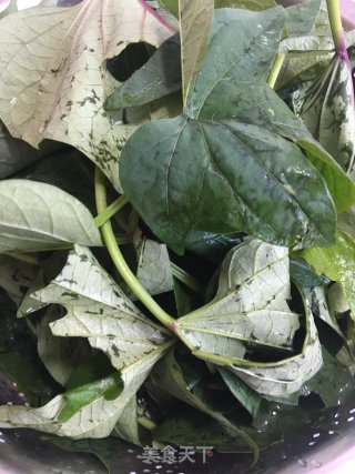 Stir-fried Sweet Potato Leaves with Garlic recipe