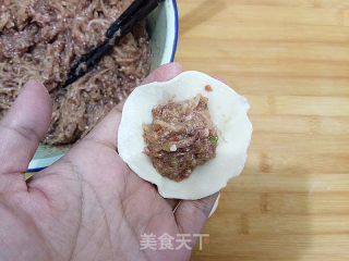 Steamed Dumplings with Beef and White Radish recipe