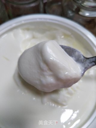 Homemade Yogurt recipe