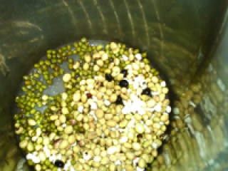 Mung Bean and Barley Soy Milk recipe