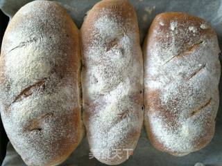 Cranberry Whole Wheat Bread recipe