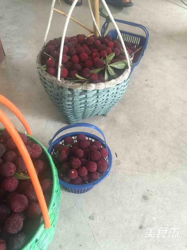 Candied Bayberry recipe