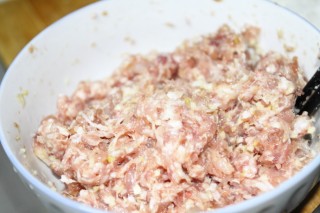 Appetizing and Invigorating Pork Radish Pie recipe