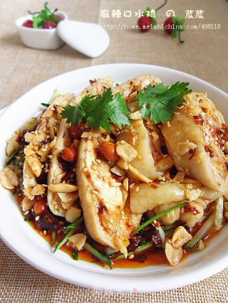 [classic Sichuan Meat Dishes] Spicy Saliva Chicken recipe