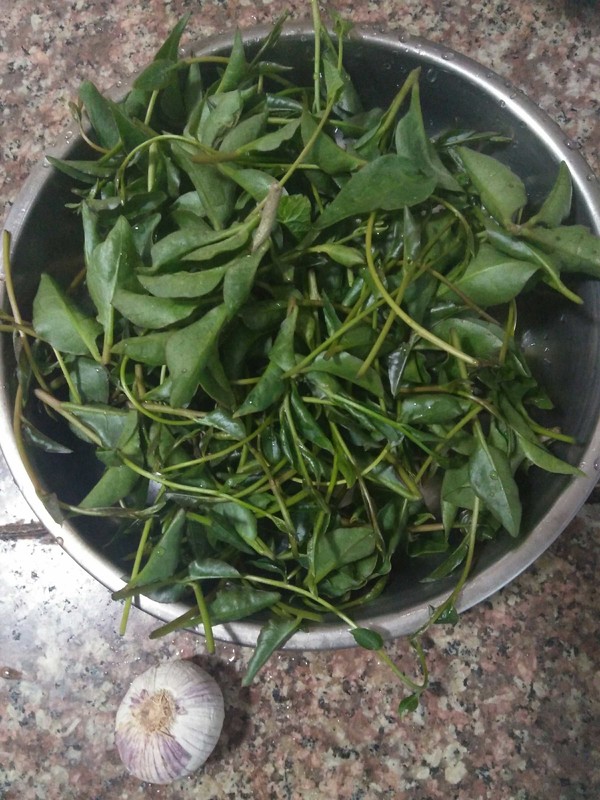 Wild Soft Pulp Leaf recipe