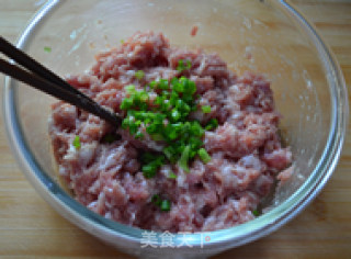 Noodle Press Fancy Pasta-pork Corn Dumplings recipe